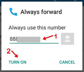 Enter phone number and click turn on 1